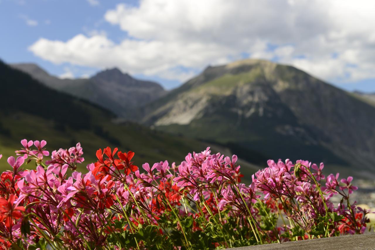 ليفينو Chalet Garden المظهر الخارجي الصورة