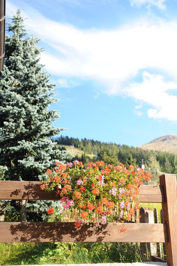 ليفينو Chalet Garden المظهر الخارجي الصورة