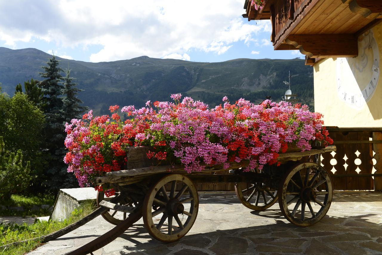 ليفينو Chalet Garden المظهر الخارجي الصورة